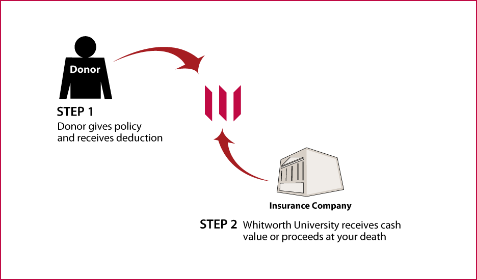 Life Insurance Policy Thumbnail