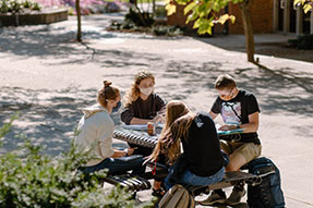 Photo of students studying. Link to Gifts from Retirement Plans.